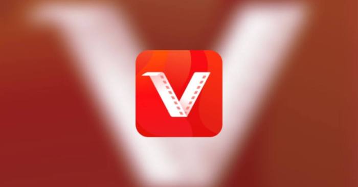 VidMasta 28.8 for ios download free